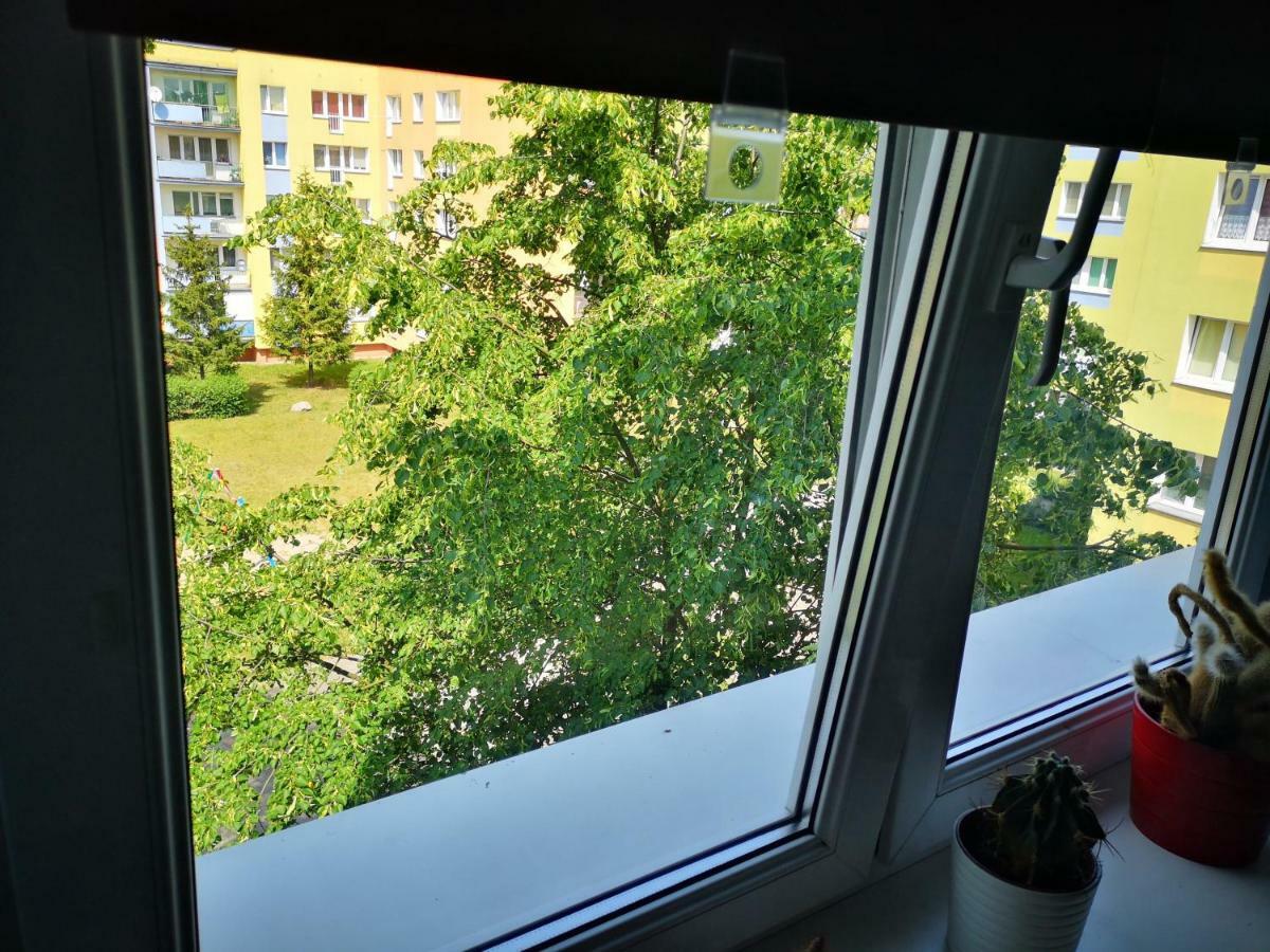 Poza Zgielkiem Miasta, A Jednak Wszystko W Zasiegu Bydgoszcz Buitenkant foto